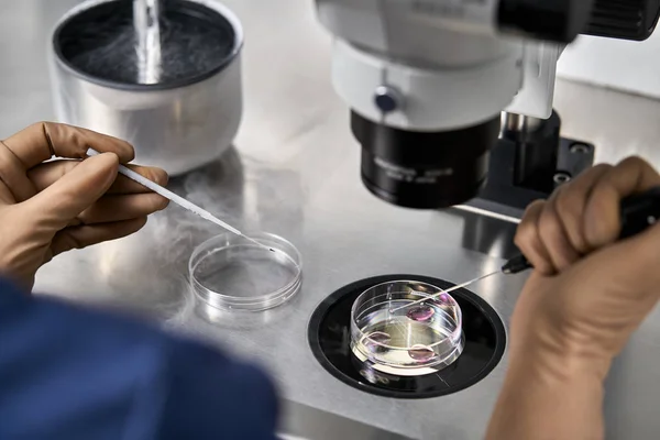 Processo de fertilização in vitro em laboratório — Fotografia de Stock