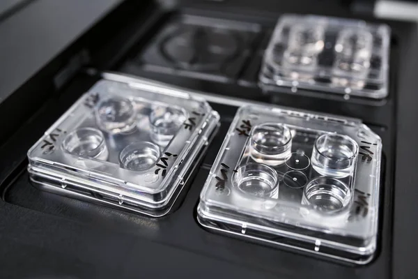 Laboratuvarda in vitro fertilizasyon için ekipman — Stok fotoğraf