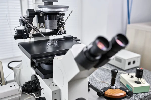 Процес запліднення in vitro в лабораторії — стокове фото