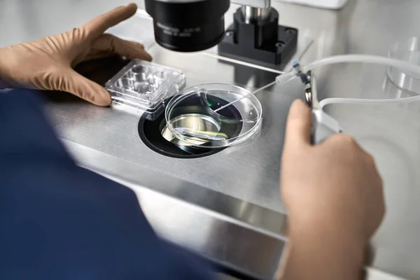 Processo de fertilização in vitro em laboratório — Fotografia de Stock