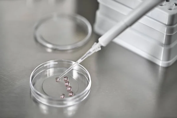 Processo de fertilização in vitro em laboratório — Fotografia de Stock