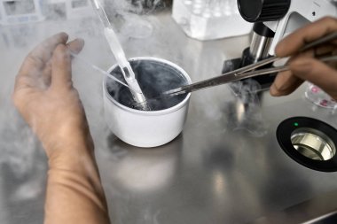 Laboratuvarda in vitro fertilizasyon süreci