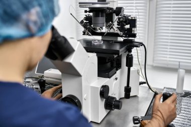 Laboratuvarda in vitro fertilizasyon süreci