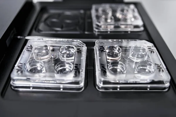 Обладнання для запліднення in vitro в лабораторії — стокове фото