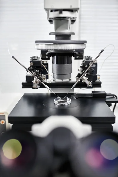 Procédé de fécondation in vitro en laboratoire — Photo