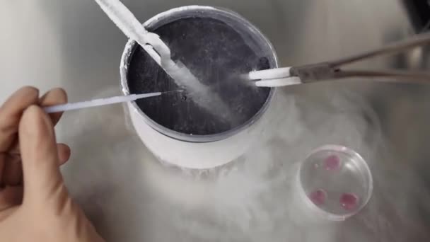 Proces van in vitro bevruchting in laboratorium — Stockvideo