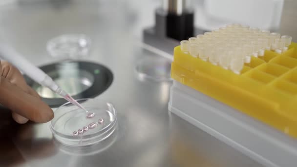 实验室体外受精过程 — 图库视频影像
