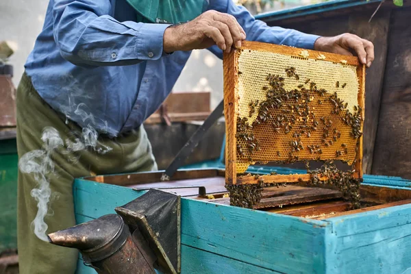 Proces van het oogsten van honing uit houten Bijenkorf buitenshuis — Stockfoto