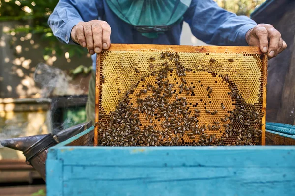 Processus de récolte du miel de ruche en bois à l'extérieur — Photo