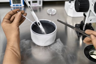 Laboratuvarda in vitro fertilizasyon süreci
