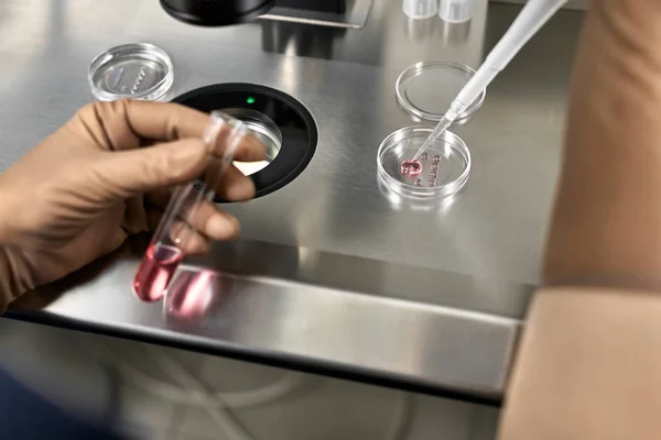 Proceso de fertilización in vitro en laboratorio — Foto de Stock