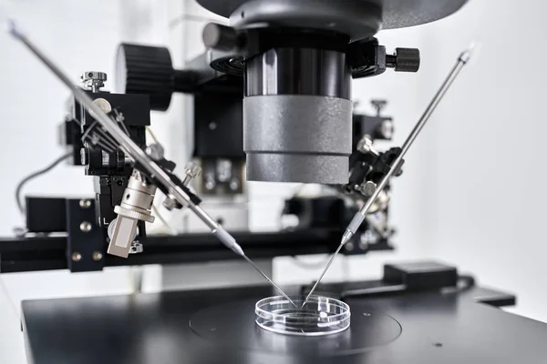 A laboratóriumi in vitro megtermékenyítés folyamata — Stock Fotó
