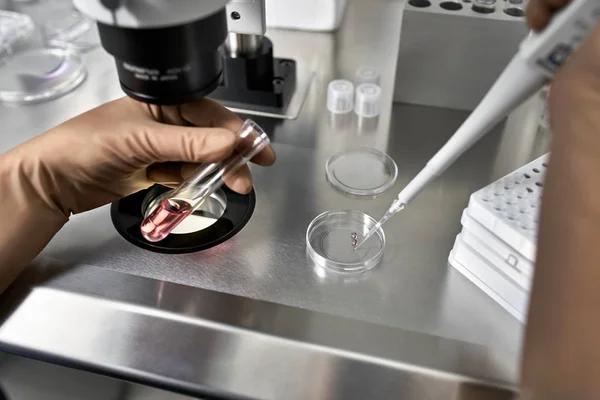 Processo di fecondazione in vitro in laboratorio — Foto Stock