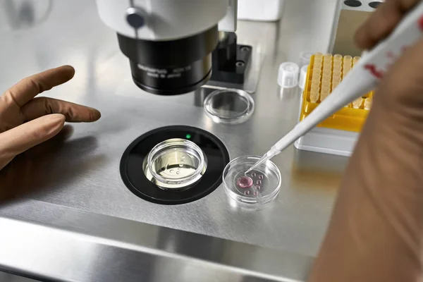 Proces van in vitro bevruchting in laboratorium — Stockfoto