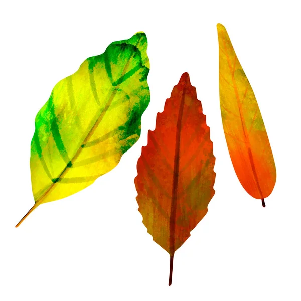 Dibujo acuarela otoño hojas coloridas aisladas en blanco — Foto de Stock