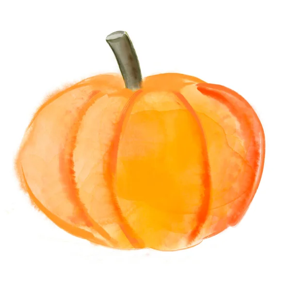 Watercolor drawing orange pumpkin isolated on white — Stock Photo, Image