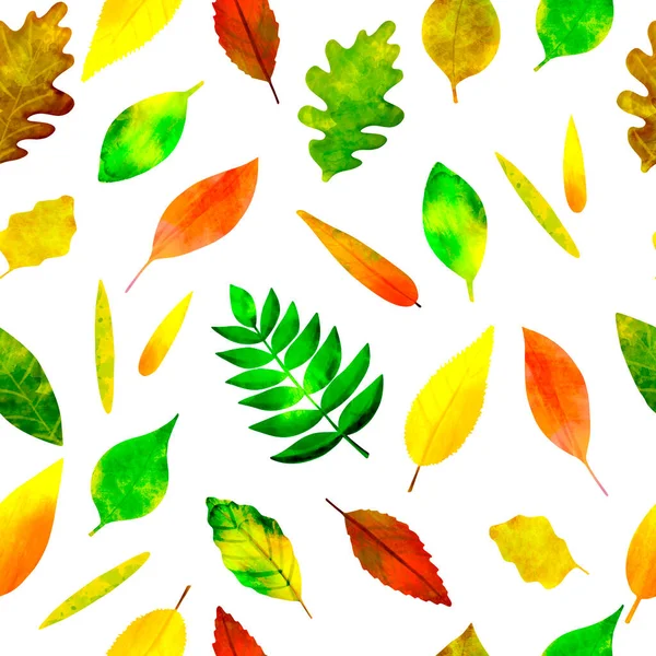 Padrão sem costura folhas de outono coloridas em branco — Fotografia de Stock