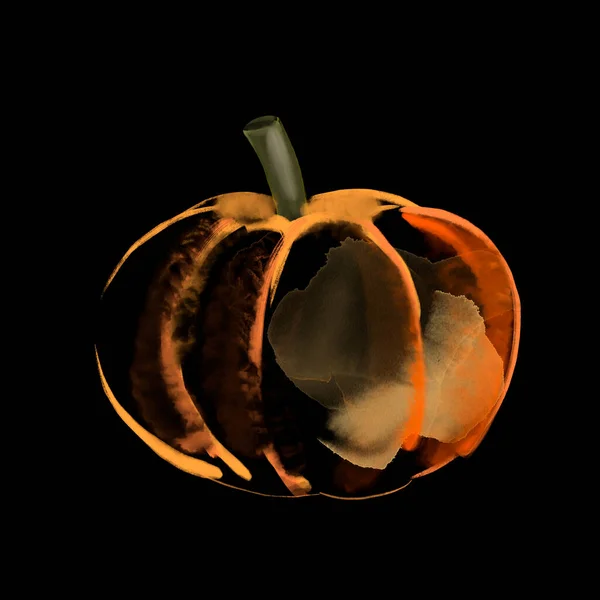 Watercolor illustration of an orange pumpkin on a black — Stock Photo, Image