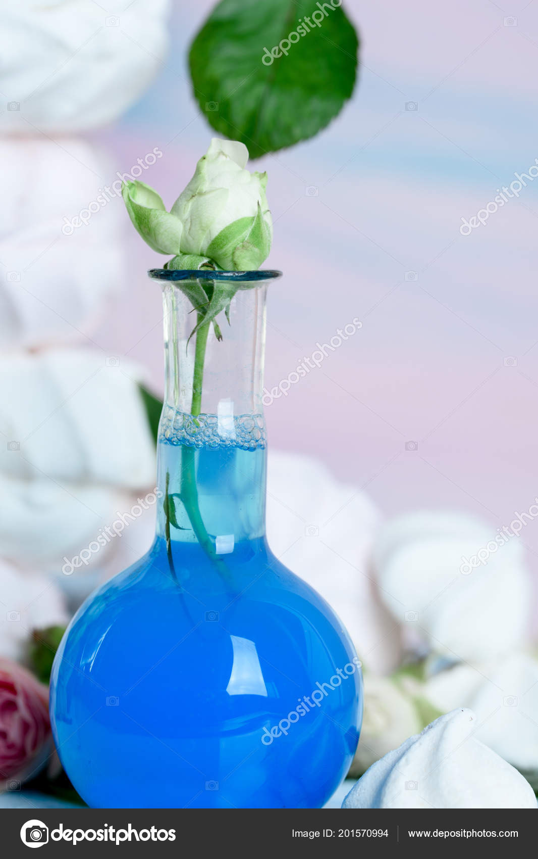 Small White Rose Vase Blue Water — Stock depositphotos stock photo small white rose vase blue