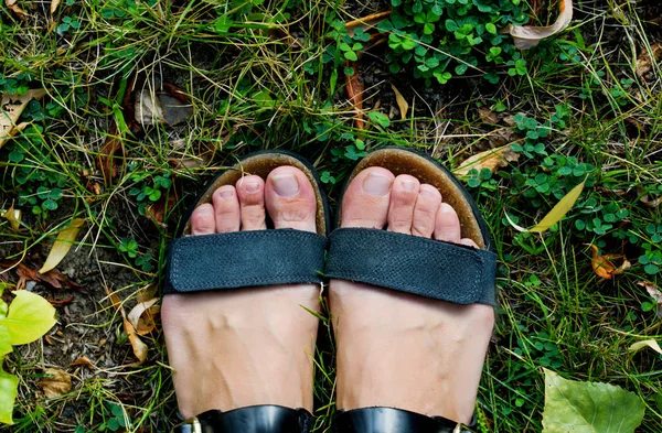 Ноги Траве Рано Утром Влажном Лесу — стоковое фото