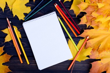 Siyah bir tabloda çay ve renkli kalemler ile sonbahar yaprakları.