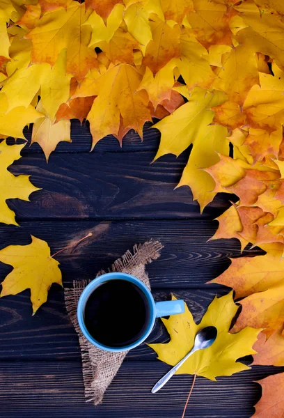 Hermosa Naturaleza Muerta Otoño Fragante Una Taza Azul Sobre Una —  Fotos de Stock