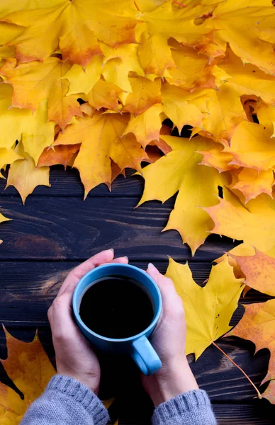 Hojas Otoño Con Lápices Color Sobre Una Mesa Negra —  Fotos de Stock