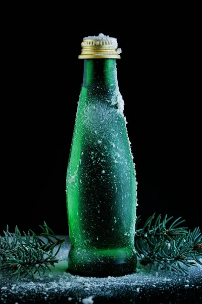 Зеленый Стеклянная Бутылка Выстрелил Черный Фон Ветвями Ели Снега — стоковое фото