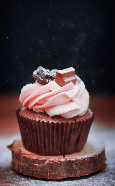 Chocolate Tasty Sweet Cupcake Vanilla Cream Condensed Milk Painted Fashionable — Stock Photo, Image
