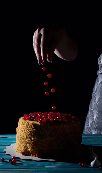 Delicious Very Beautiful Honey Cake Sour Cream Berries Dark Key — Stock Photo, Image