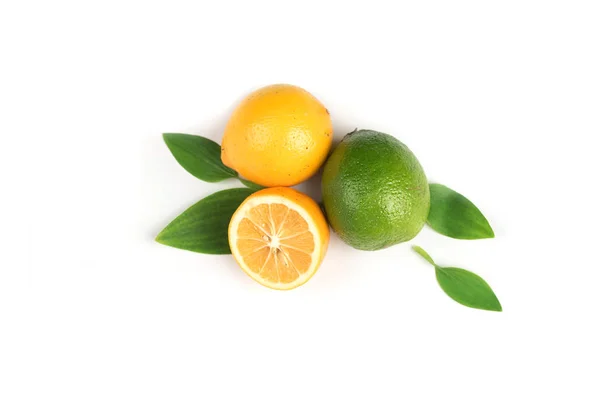 Лимон и лайм на белом фоне — стоковое фото