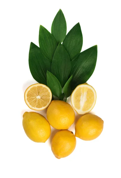 Lemon matang dengan daun hijau — Stok Foto