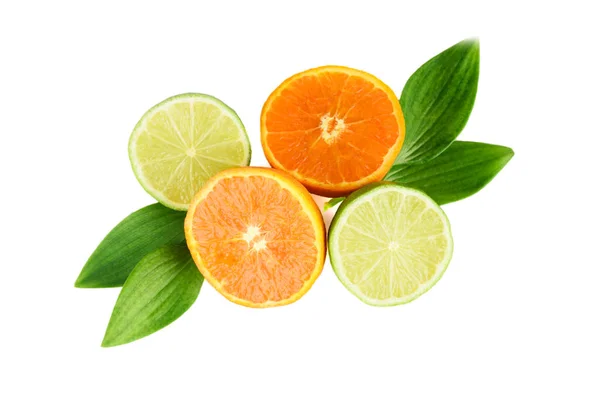 Assortiment de fruits de mandarine et de lime aux feuilles — Photo