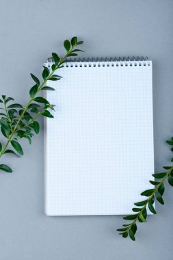 Beyaz yapraklı, renkli arka plan üzerinde yapraklar içeren not defteri