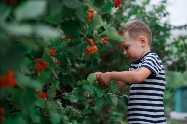 Güzel olgun rowan arasında park ile bir yürüyüş te bir çocuk