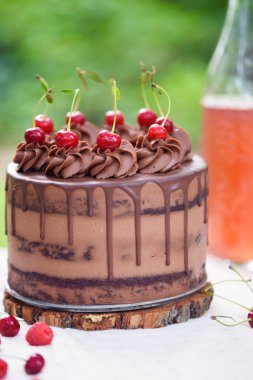 Lezzetli bir pasta ve içecekler ile doğada Piknik