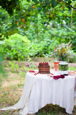 Lezzetli bir çikolatalı kek, komposto, çilek, yaban çiçekleri ile doğada Yaz piknik,