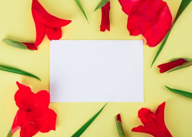 Beyaz kart ile sarı bir arka plan üzerinde Glayöl çiçekler