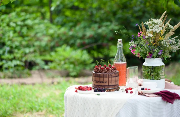 Piknik na přírodě s lahodnou dortem a občerstvením — Stock fotografie