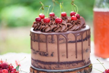 Lezzetli bir pasta ve içecekler ile doğada Piknik