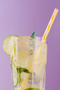 Limon ve kireç, zencefil ve nane yaprakları dilimleri ile soğutma limonata.