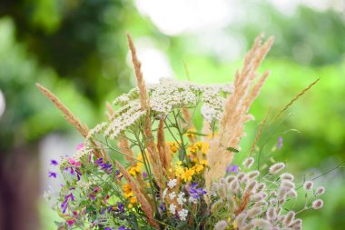 Yeşil ağaçların arka planda güzel vahşi çiçekler