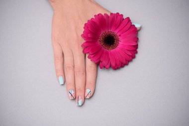 Pastel arka planda, kadın ellerde güzel narin manikür.