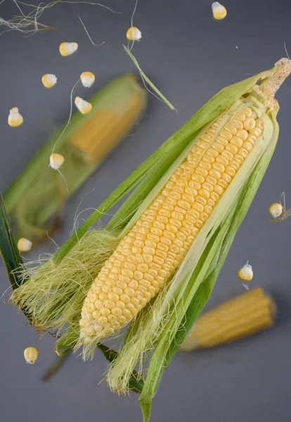 Hermoso maíz volador maduro. Alimento saludable —  Fotos de Stock