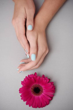 Pastel arka planda, kadın ellerde güzel narin manikür.