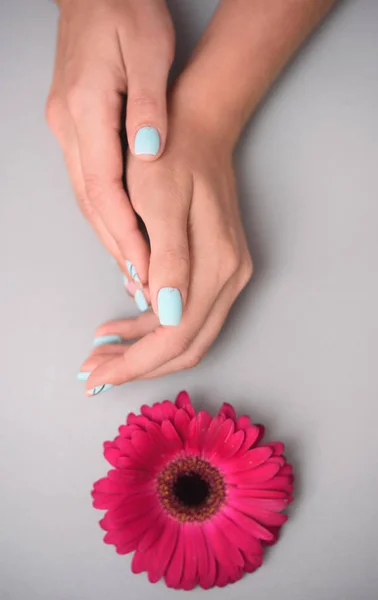 Жінка рука з модним манікюром для нігтів, що тримає квітку гербер на сірому фоні — стокове фото