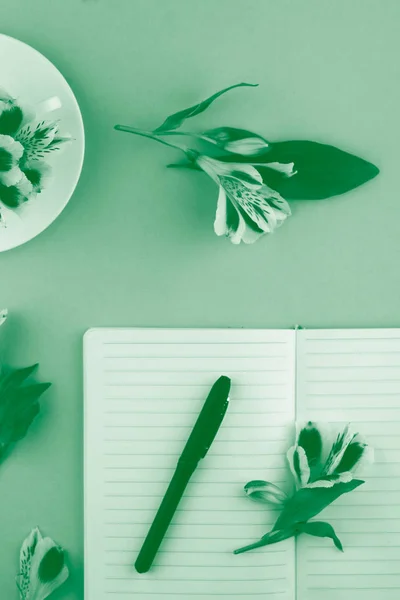 Zápisník pro poznámky, pero, květiny v barvě mátové barvy. — Stock fotografie