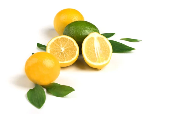 Спелые лимон и лайм с зелеными листьями на белом фоне — стоковое фото