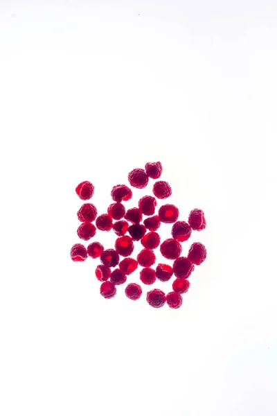 Collectie van rijpe rode frambozen op witte achtergrond. — Stockfoto
