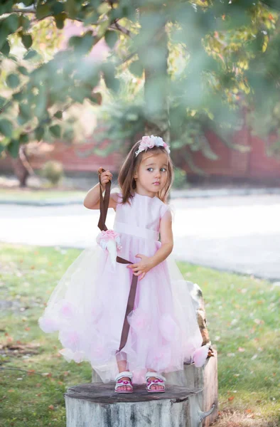 Niña con un hermoso vestido rosa en un hermoso parque . — Foto de Stock